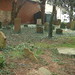 Mary Giles Photo 32