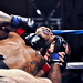 Tom Lutz Photo 16