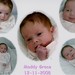 Ellen Hopper Photo 15
