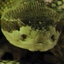 Paul Bloch Photo 34