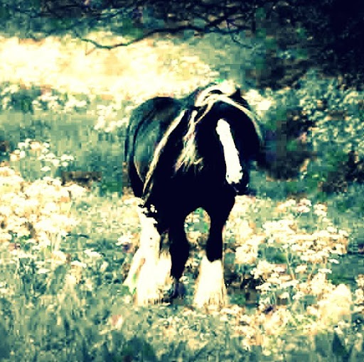 Samantha Long Photo 31