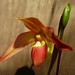 Eric Young Photo 63
