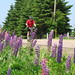 Ron Berger Photo 22