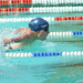 Suzanne Lange Photo 17