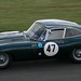 Robin Floyd Photo 18