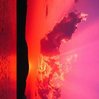 Marcia Stone Photo 13