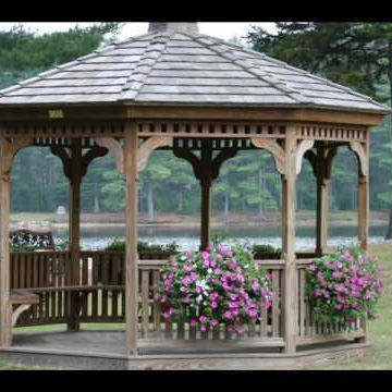 Debra Goodwin Photo 40