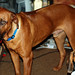 Sammy Cooper Photo 20