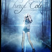 Don Cole Photo 14