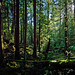 Victoria Macdonald Photo 12