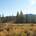 Jeffrey Thorn Photo 25