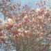 April Weathers Photo 10