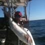 David Laird Photo 51