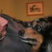 Tia Shepard Photo 15