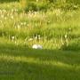Debbie Purcell Photo 24