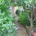 John Simonton Photo 13