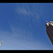 Patrick Powers Photo 25