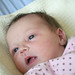 Harriet Simpson Photo 16