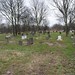 Frances Cole Photo 28