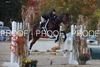 Sophie Cook Photo 13