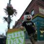 Steve Gray Photo 9