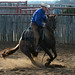 John Slates Photo 5