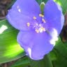 Judy Gaskin Photo 3