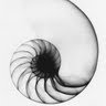 Charles Davidson Photo 40