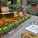 He Liu Photo 20