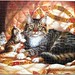 Judy Gibson Photo 16