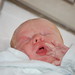 Joseph Elliot Photo 18
