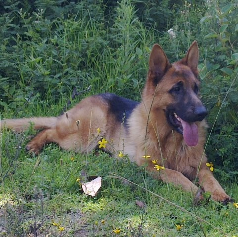 Jose Erazo Photo 12
