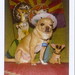 Janet Floyd Photo 18