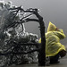 Qiang Chen Photo 26