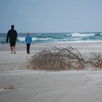 Julie Kearns Photo 34