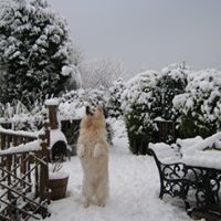 Ann Bedford Photo 10