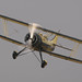 Peter Finlayson Photo 20