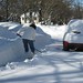 Donna Snow Photo 34