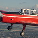 Marshall Doyle Photo 14