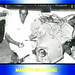 Ray Fox Photo 15