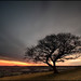 Dawn Hedges Photo 15