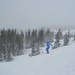 Jason Mcneil Photo 30