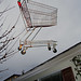 Bruce Livingston Photo 18