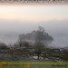 Misty Shannon Photo 9