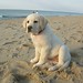 Ruby Love Photo 23