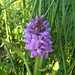 Lindsey Marsh Photo 18