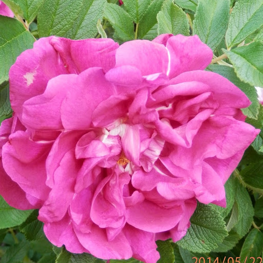 Donna Robertson Photo 29