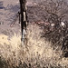 Kathleen Stringer Photo 8