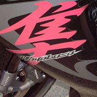 Norbert Roche Photo 5