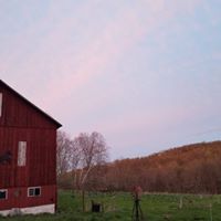 Brad Yoder Photo 43